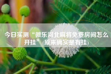 今日实测“微乐河北麻将免费房间怎么开挂”(原来确实是有挂)