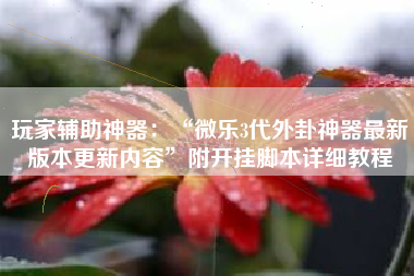 玩家辅助神器:“微乐3代外卦神器最新版本更新内容”附开挂脚本详细教程 玩家辅助神器:“微乐3代外卦神器最新版本更新内容”附开挂脚本详细教程
