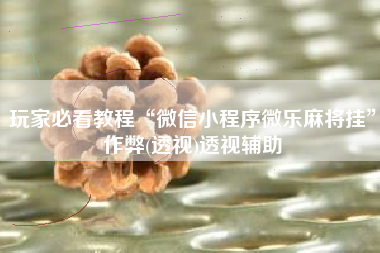 玩家必看教程“微信小程序微乐麻将挂”作弊(透视)透视辅助