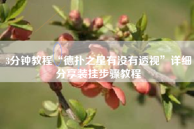 3分钟教程“德扑之星有没有透视	”详细分享装挂步骤教程