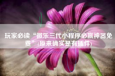 玩家必读“微乐三代小程序必赢神器免费”(原来确实是有插件)