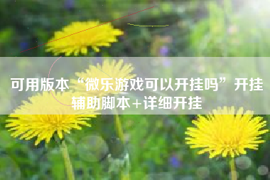 可用版本“微乐游戏可以开挂吗”开挂辅助脚本+详细开挂