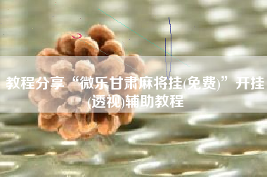 教程分享“微乐甘肃麻将挂(免费)	”开挂(透视)辅助教程