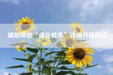 辅助神器“德扑胜率”详细开挂玩法