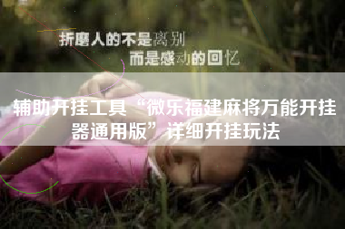 辅助开挂工具“微乐福建麻将万能开挂器通用版”详细开挂玩法