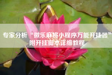 专家分析“微乐麻将小程序万能开挂器”附开挂脚本详细教程