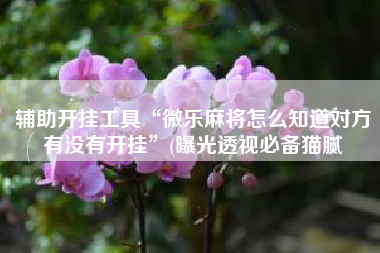 辅助开挂工具“微乐麻将怎么知道对方有没有开挂	”(曝光透视必备猫腻