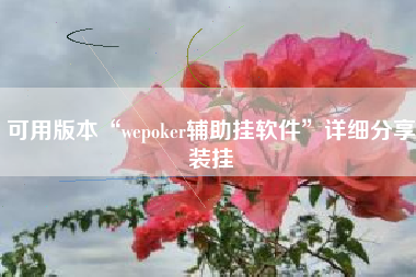 可用版本“wepoker辅助挂软件”详细分享装挂