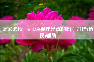 玩家必读“wpk透视挂是真的吗”开挂(透视)辅助
