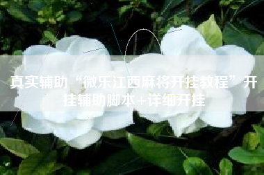 真实辅助“微乐江西麻将开挂教程	”开挂辅助脚本+详细开挂