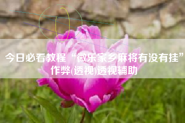 今日必看教程“微乐家乡麻将有没有挂”作弊(透视)透视辅助