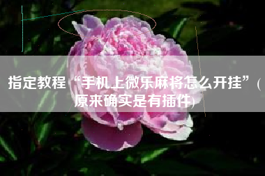 指定教程“手机上微乐麻将怎么开挂”(原来确实是有插件)