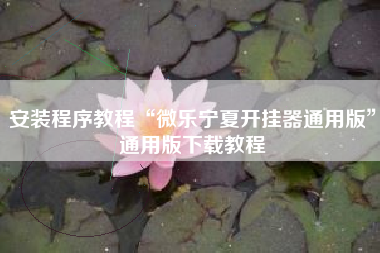 安装程序教程“微乐宁夏开挂器通用版”通用版下载教程