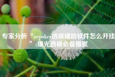 专家分析“wepoker透视辅助软件怎么开挂”(曝光透视必备猫腻