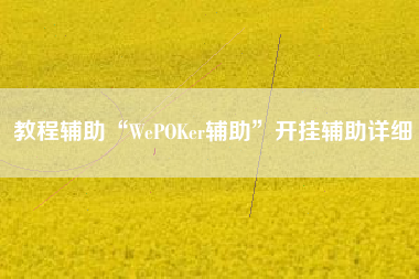 教程辅助“WePOKer辅助”开挂辅助详细