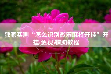 独家实测“怎么识别微乐麻将开挂”开挂(透视)辅助教程