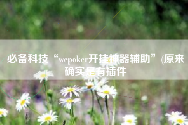 必备科技“wepoker开挂神器辅助	”(原来确实是有插件