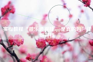 实操教程“微乐透视挂app是真的吗”详细开挂