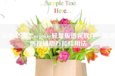 玩家必读“wepoker轻量版透视软件	”揭秘透视辅助万能挂用法