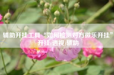 辅助开挂工具“如何检测对方微乐开挂”开挂(透视)辅助