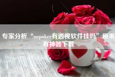 专家分析“wepoker有透视软件挂吗”原来有神器下载
