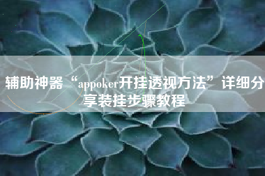 辅助神器“appoker开挂透视方法”详细分享装挂步骤教程