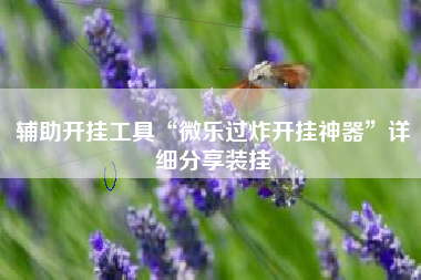 辅助开挂工具“微乐过炸开挂神器”详细分享装挂