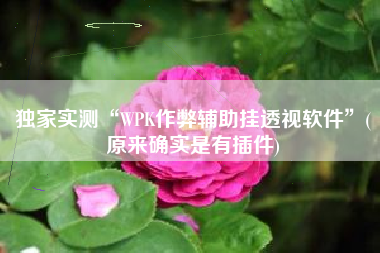 独家实测“WPK作弊辅助挂透视软件”(原来确实是有插件)