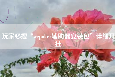 玩家必搜“wepoker辅助器安装包”详细开挂