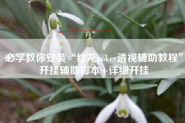 必学教你安装“红龙poker透视辅助教程”开挂辅助脚本+详细开挂