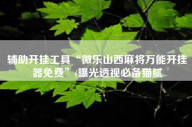 辅助开挂工具“微乐山西麻将万能开挂器免费”(曝光透视必备猫腻