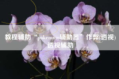 教程辅助“pokemmo辅助器”作弊(透视)透视辅助