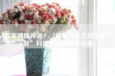 玩家辅助神器：“微乐斗地主透视挂下载”科技辅助神器手机版