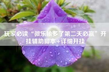 玩家必读“微乐输多了第二天必赢”开挂辅助脚本+详细开挂