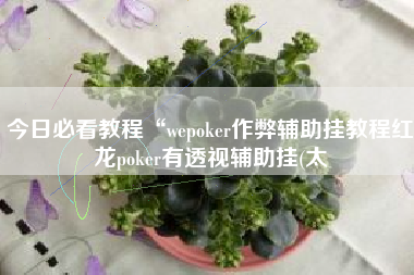 今日必看教程“wepoker作弊辅助挂教程红龙poker有透视辅助挂(太
