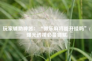 玩家辅助神器：“微乐麻将能开挂吗	”(曝光透视必备猫腻