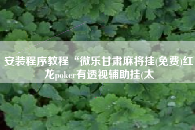 安装程序教程“微乐甘肃麻将挂(免费)红龙poker有透视辅助挂(太