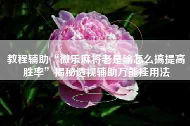 教程辅助“微乐麻将老是输怎么搞提高胜率”揭秘透视辅助万能挂用法