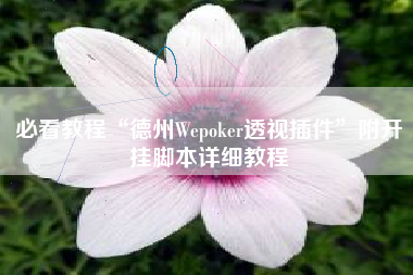 必看教程“德州Wepoker透视插件	”附开挂脚本详细教程
