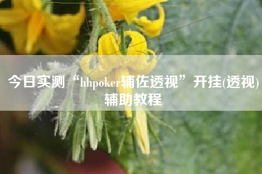 今日实测“hhpoker辅佐透视”开挂(透视)辅助教程