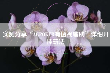 实测分享“AGPOKER有透视辅助”详细开挂玩法