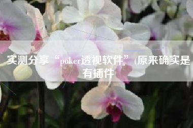 实测分享“poker透视软件”(原来确实是有插件