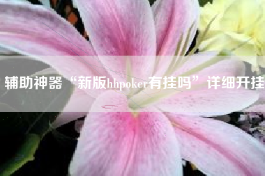 辅助神器“新版hhpoker有挂吗	”详细开挂