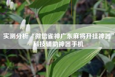 实测分析“微信雀神广东麻将开挂神器”科技辅助神器手机
