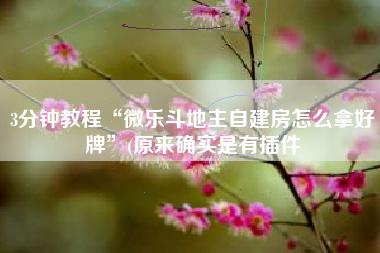 3分钟教程“微乐斗地主自建房怎么拿好牌”(原来确实是有插件