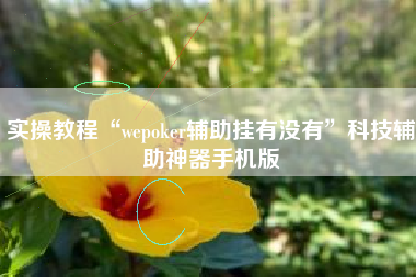 实操教程“wepoker辅助挂有没有”科技辅助神器手机版