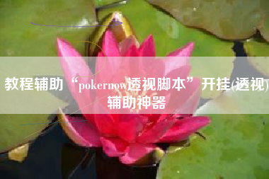 教程辅助“pokernow透视脚本”开挂(透视)辅助神器