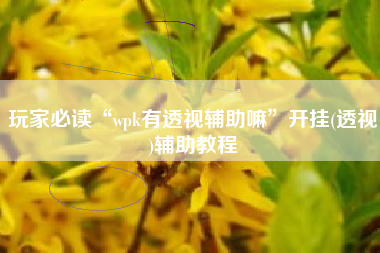 玩家必读“wpk有透视辅助嘛	”开挂(透视)辅助教程