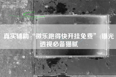 真实辅助“微乐跑得快开挂免费”(曝光透视必备猫腻