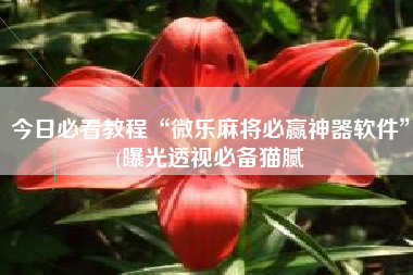 今日必看教程“微乐麻将必赢神器软件	”(曝光透视必备猫腻